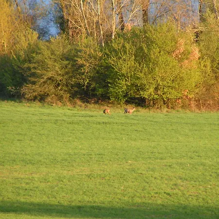 Au Milieu Des Champs Lectoure