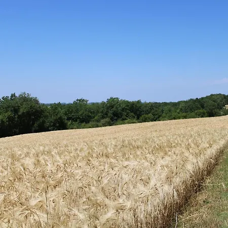 Πανσιόν Au Milieu Des Champs *