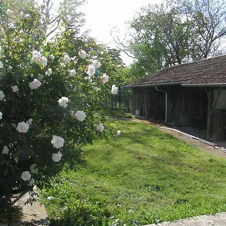 Πανσιόν Au Milieu Des Champs *
