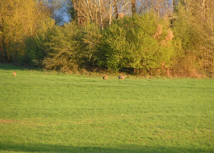 Au Milieu Des Champs Lectoure