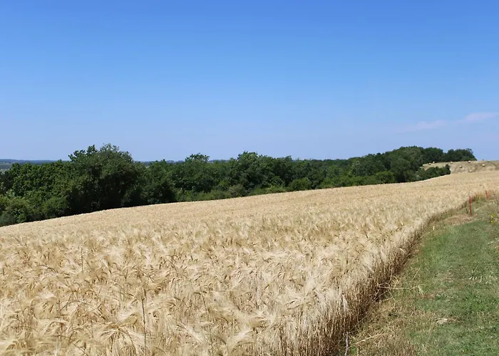 Gasthuis Au Milieu Des Champs *