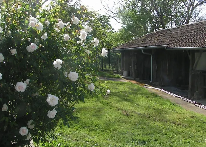 Gasthuis Au Milieu Des Champs *