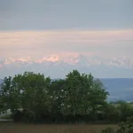 Au Milieu Des Champs * Lectoure