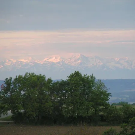 Au Milieu Des Champs * Lectoure